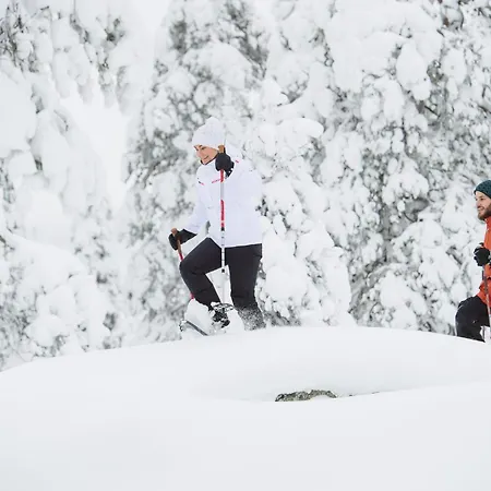 Herberg Bliss Adventure